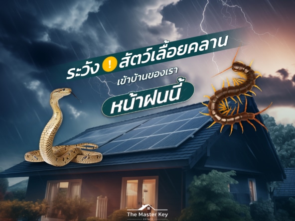 หน้าฝนนี้ บ้านของคุณปลอดภัยแค่ไหนจากสัตว์เลื้อยคลาน