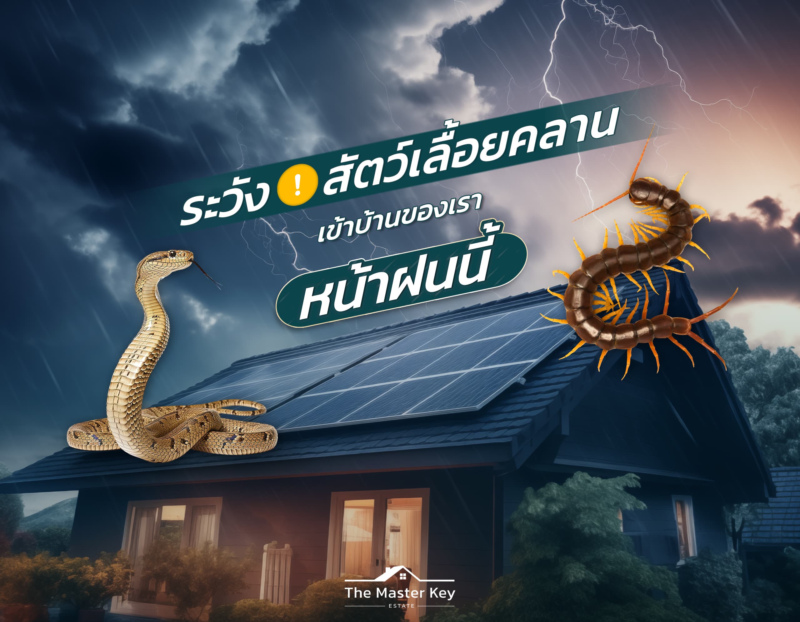 หน้าฝนนี้ บ้านของคุณปลอดภัยแค่ไหนจากสัตว์เลื้อยคลาน